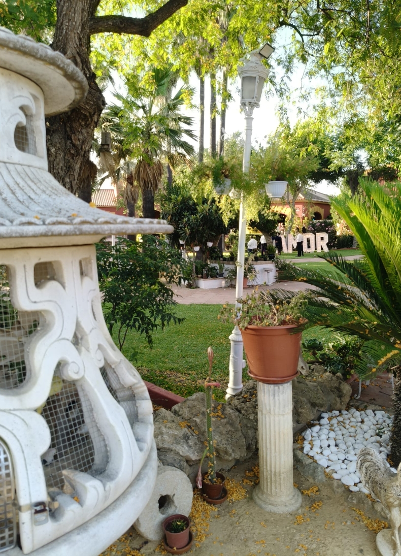 Finca para Bodas en Niebla Huelva3