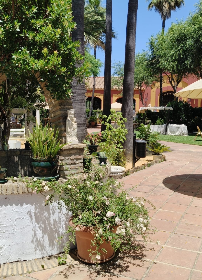 Finca para Comuniones en Niebla Huelva10