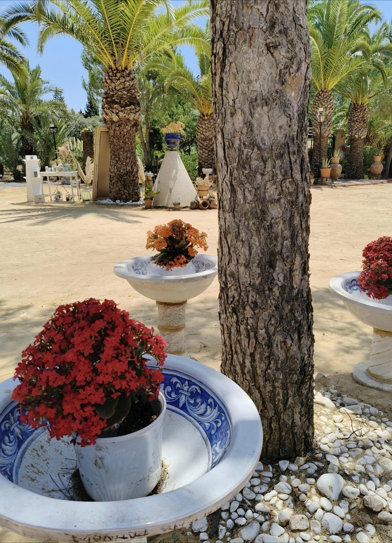 Finca para Comuniones en Niebla Huelva5