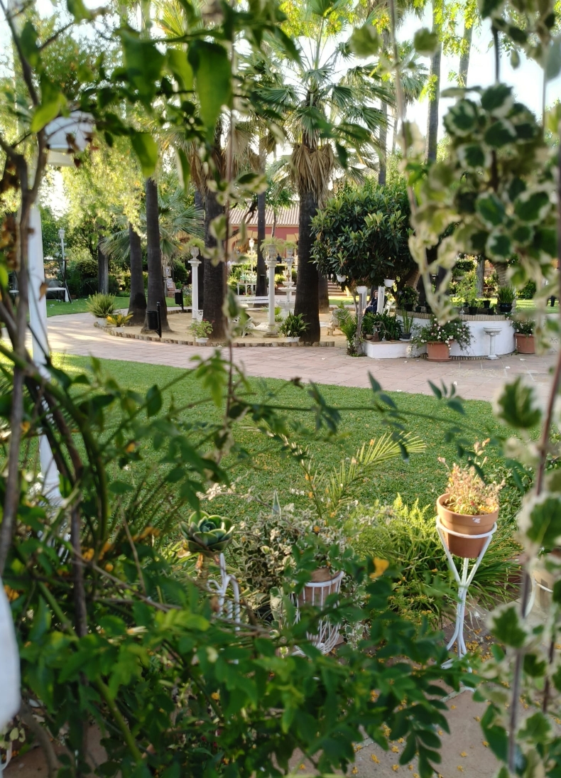 Eventos Corporativos 7 Finca para Eventos Corporativos en Niebla Huelva1