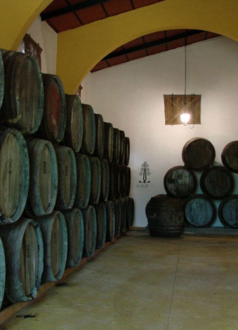 Eventos Corporativos 11 Finca para Eventos Corporativos en Niebla Huelva5